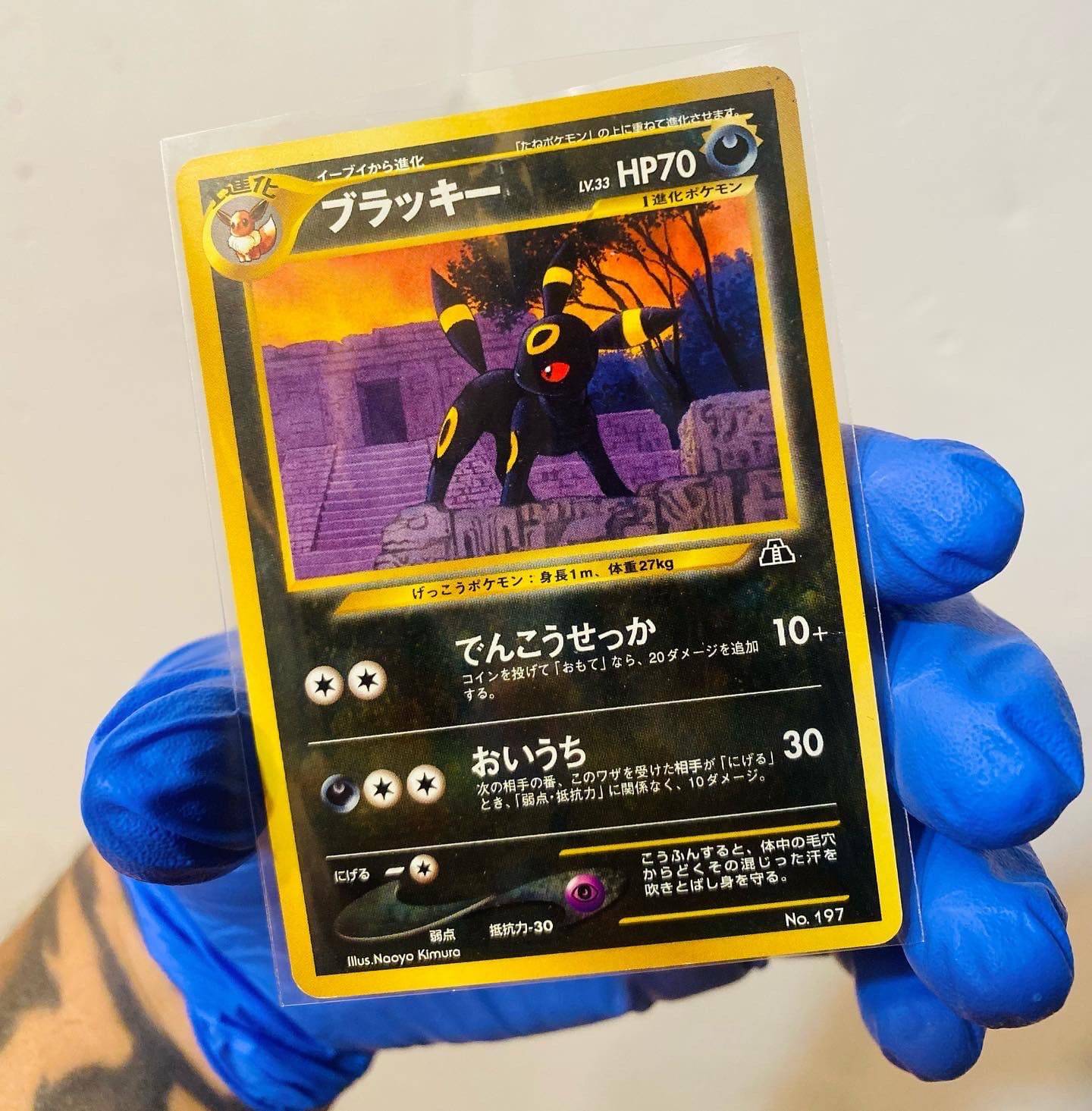 Umbreon Neo Premium Files 2 from My Store, featuring a sleek black and yellow design with detailed Umbreon artwork.
