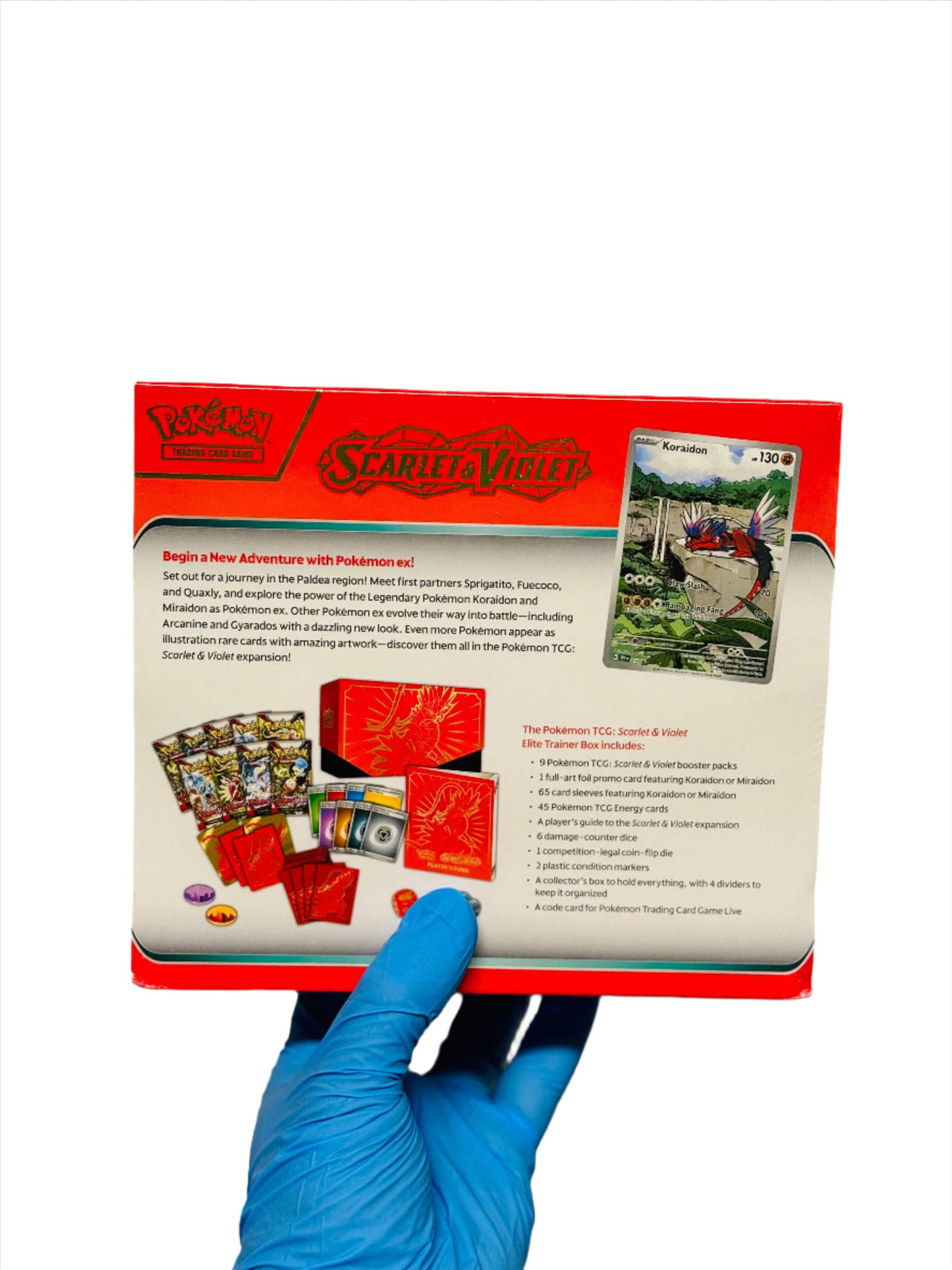 BlueGloveTCG Scarlet & Violet Koraidon ETB box with vibrant artwork and Pokémon cards inside, designed for collectors and players.