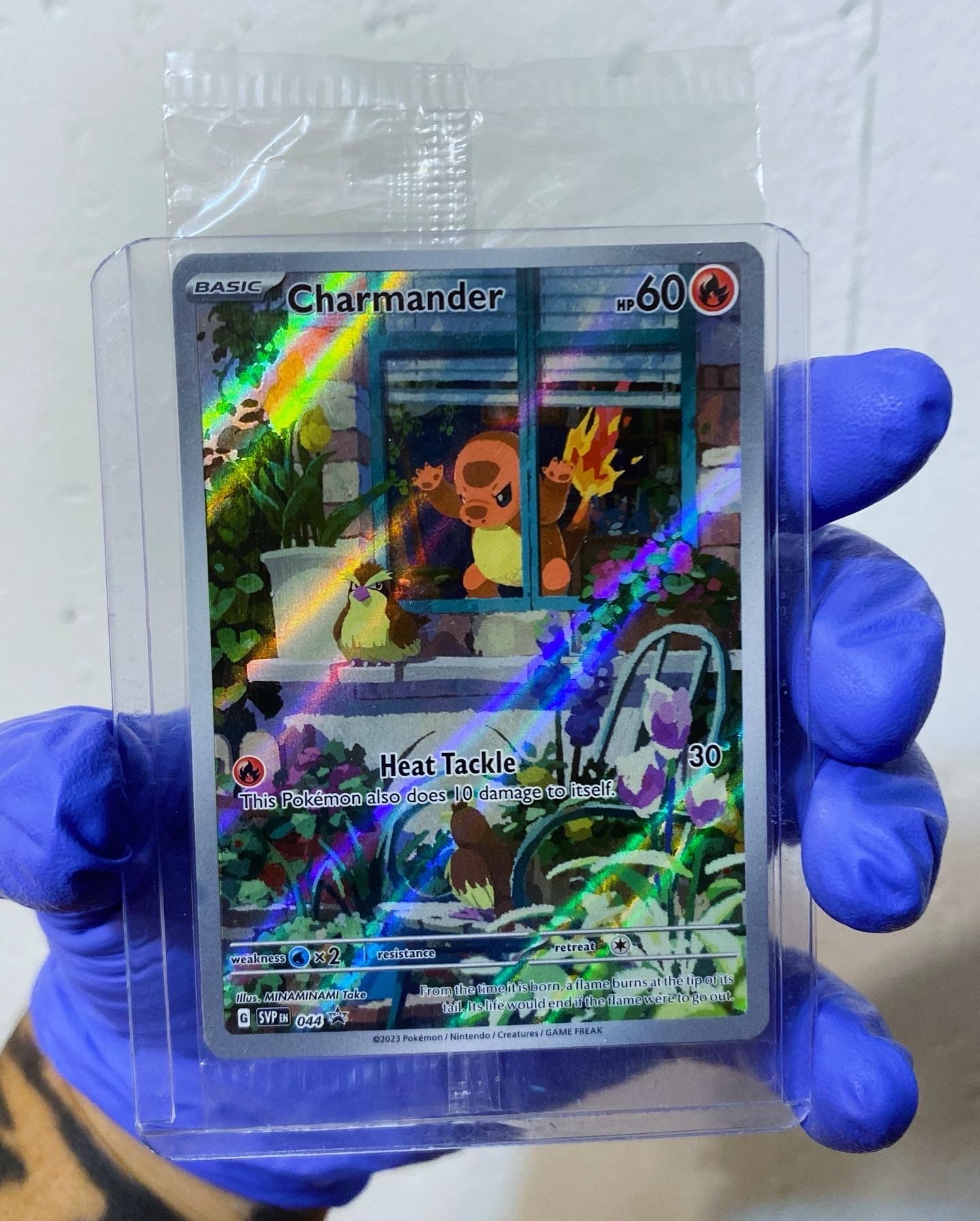 "Grumpy" Charmander Sealed Obsidian Flames Promo