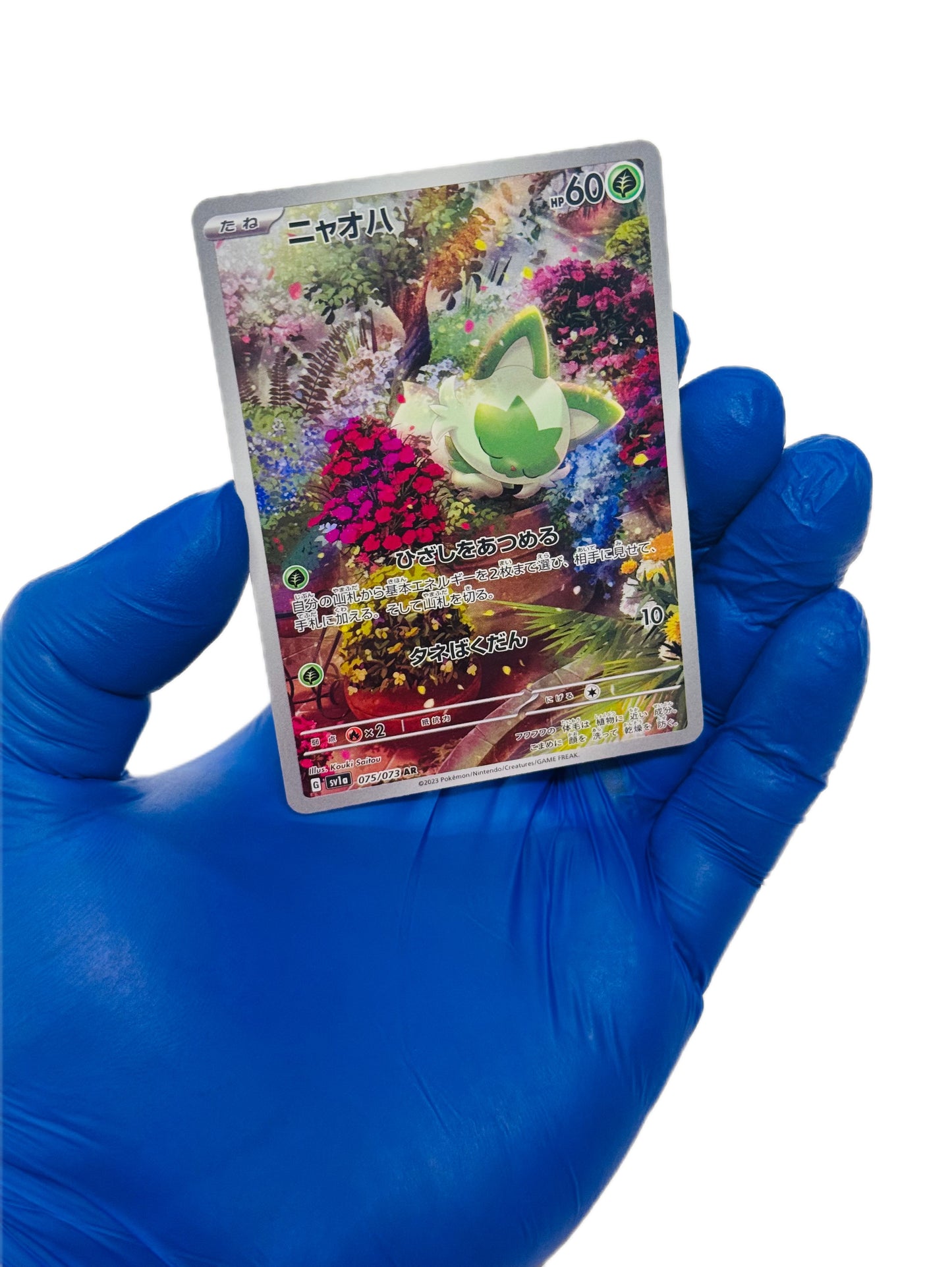 Sprigatito (AR) 075/073 (JP)