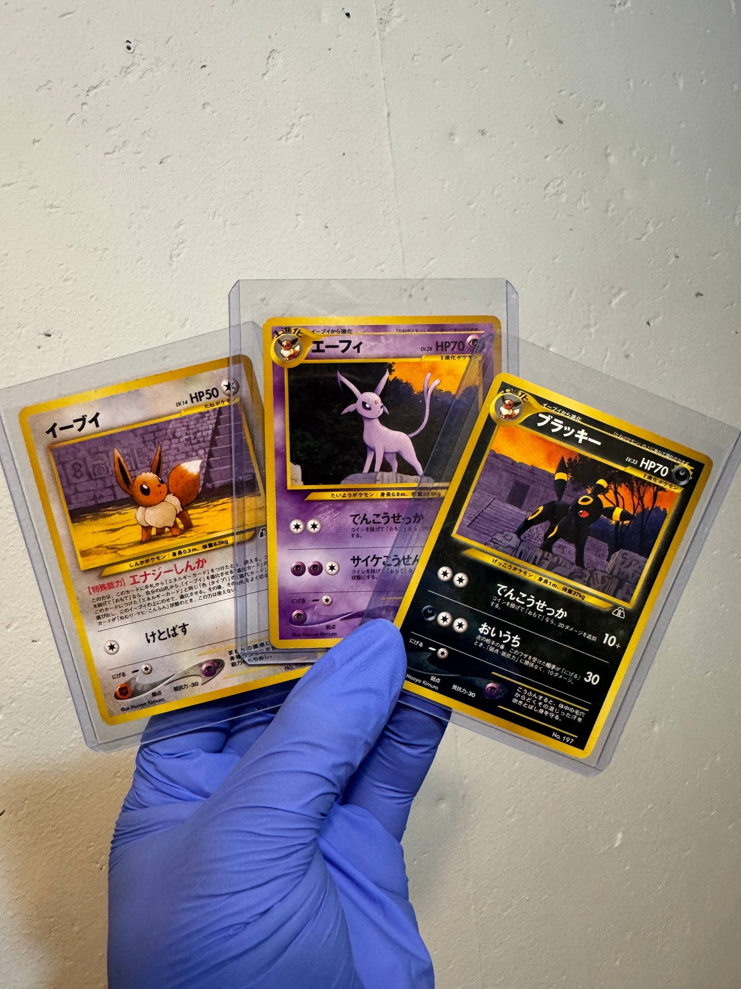 Premium Eeveelution collection featuring Umbreon and Eevee cards from BlueGloveTCG, displayed with vibrant artwork and details.