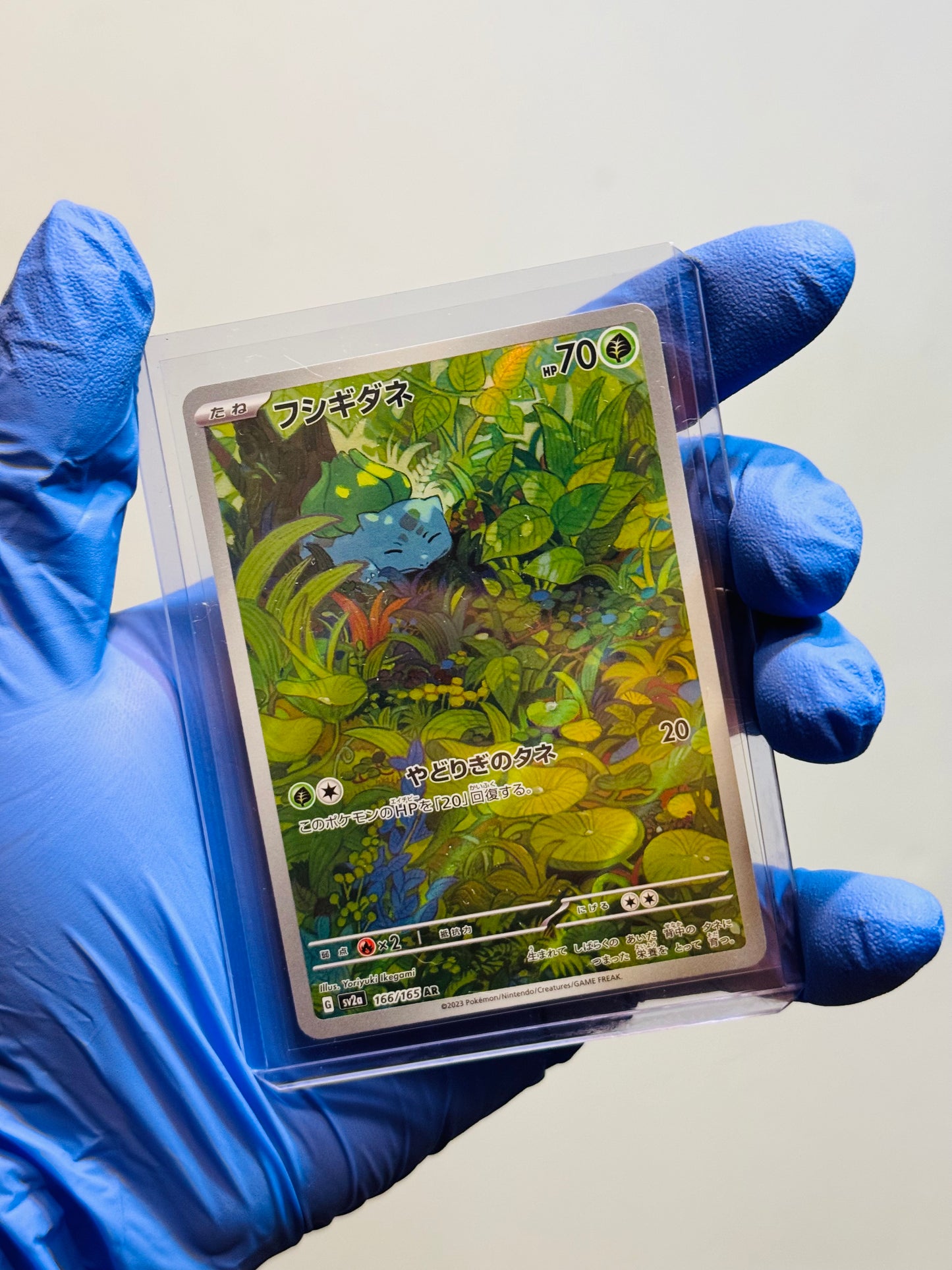 Bulbasaur illustration Rare (JPN)