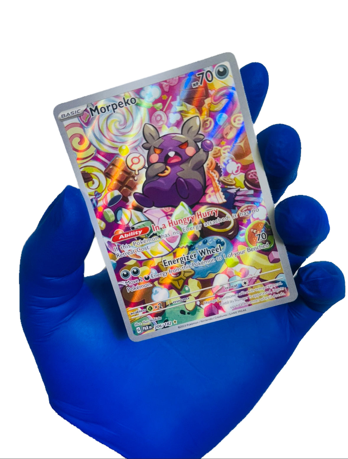 Morpeko (IR) 206/182