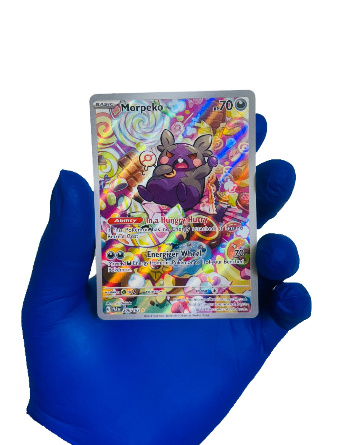 Morpeko (IR) 206/182