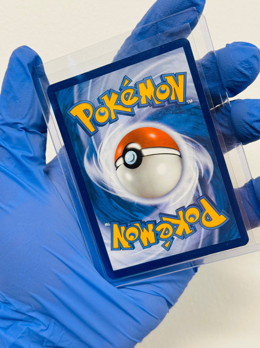 Rare Squirtle illustration single card from BlueGloveTCG, featuring detailed artwork of the Pokémon Squirtle.