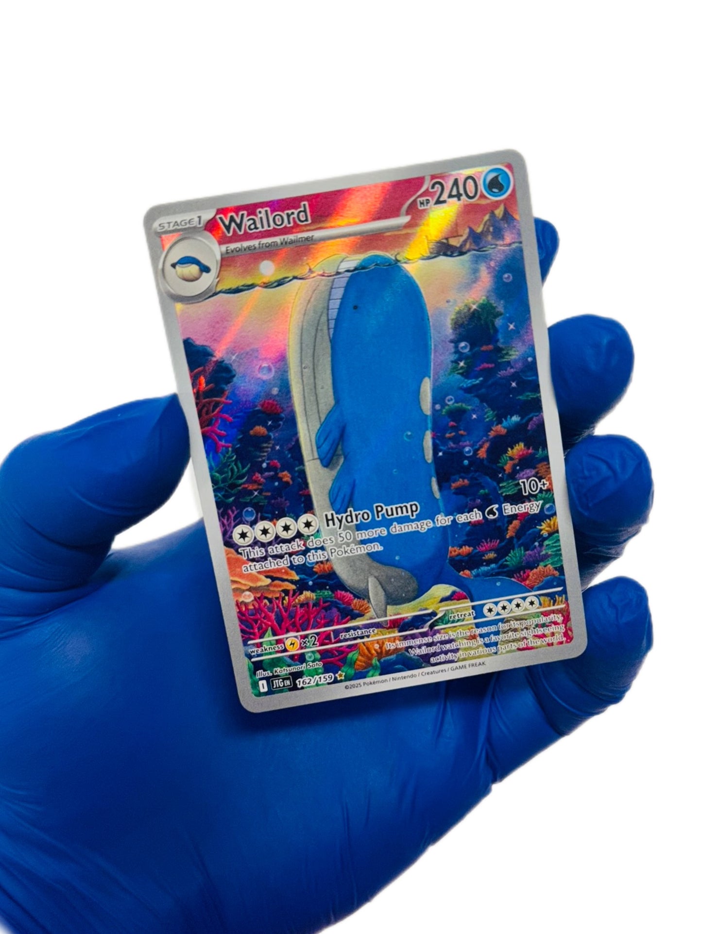 Wailord (IR) 162/159