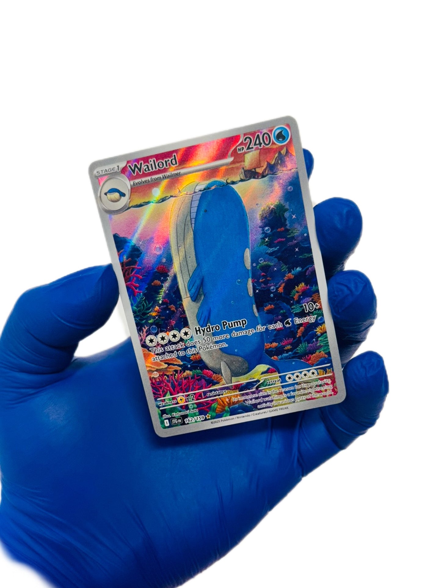 Wailord (IR) 162/159