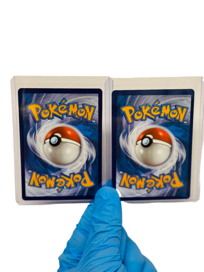 Surfing and Flying Pikachu Bundle