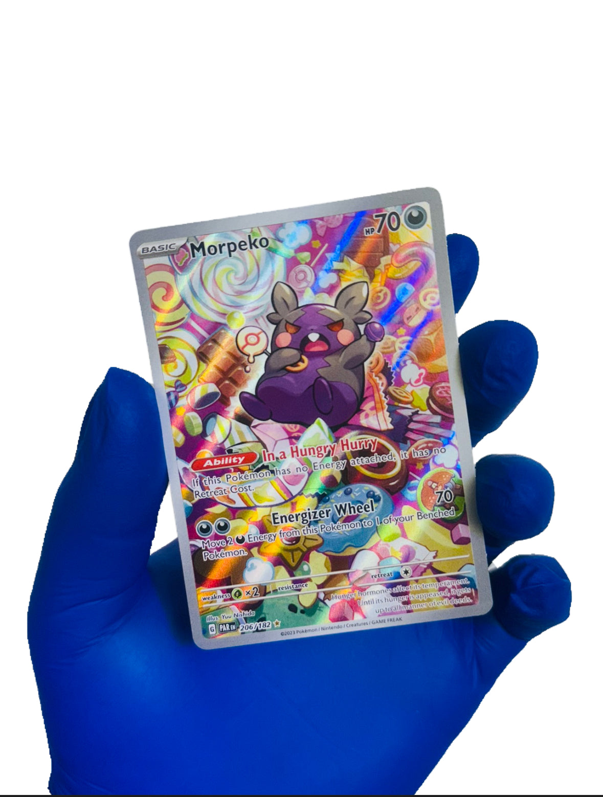 Morpeko (IR) 206/182