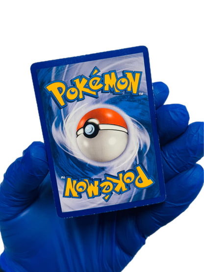Groudon ex & Kyogre ex (Bundle)
